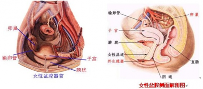 上海医院怀孕哪家便宜_上海哪家医院怀孕费用最便宜
