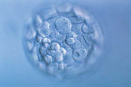 上海生孩子的试管医院、上海生孩子的试管医院有哪些