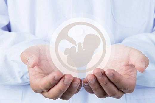 上海同性恋想要孩子怎做;上海同性恋可以领结婚证吗
